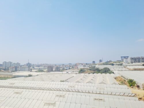 Недвижимость в Паяллар